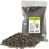 Argila expandida para plantas em vaso, jardinagem e florestas em frasco, 4-10 mm, 2L - 5 