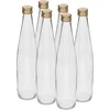 Garrafa Club 500 ml com tampa de rosca dourada, conjunto de 6 unidades - 9 