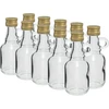 Garrafa Galonik 40 ml com tampa, 10 unid. - 4 