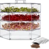 Germinador de vários níveis Niezłe Ziółko com sementes de rabanete - 2 