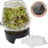 Germinador em frasco com tampa twist-off + 5 embalagens de sementes ['germinador', ' germinador de vidro', ' cultivo de rebentos', ' germinador em frasco', ' germinador', ' germinador', ' rebentos de rabanete', ' brócolos Rabbs', ' rebentos de feijão mungo']