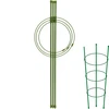 Suporte anelar para plantas, 3 anéis, 0,5 m ['suporte para plantas', ' suporte anelar para arbustos', ' suporte de jardim', ' suporte para rosas', ' pérgola de jardim', ' braçadeira para plantas', ' estaca para plantas', ' suporte para flores', ' suporte para plantas de vaso', ' suporte para hortênsias', ' suporte para mirtilos', ' suporte para trepadeiras', ' suporte verde', ' suporte para plantas verde-escuro', ' suporte de aço para plantas com anéis']