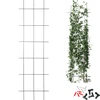 Suporte para plantas – treliça de jardim 150 x 45 cm - 9 