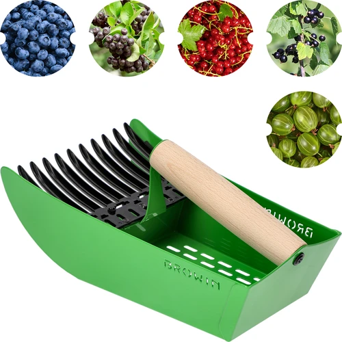 Apanhador de pequenos frutos, metálico, verde - 2