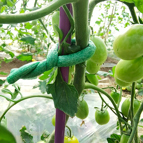 Arame de jardinagem revestido com espuma, verde, 10 m, Ø 10 mm - 4