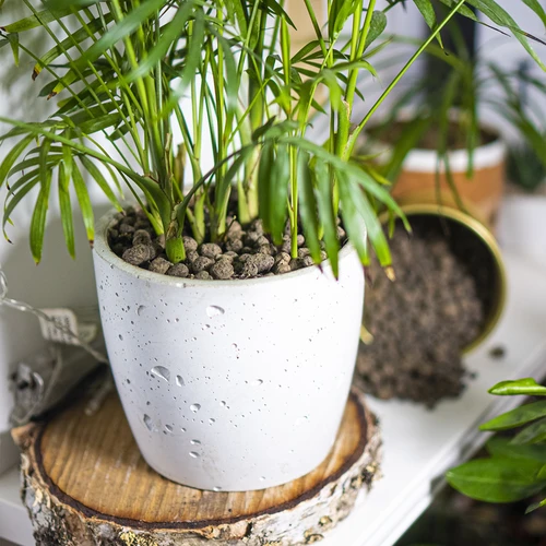 Argila expandida para plantas em vaso, jardinagem e florestas em vidro 10–20 mm, 4 L - 11