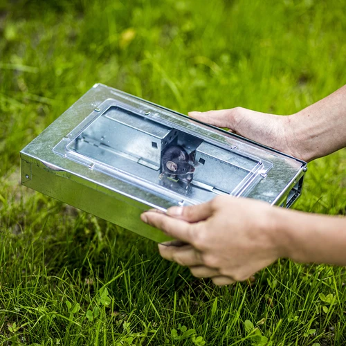 Armadilha metálica para ratos — de captura viva - 9