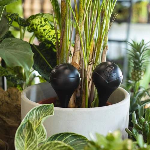 Bola de rega para plantas, preta mate com estaca cerâmica (em embalagem) 400 ml - 10