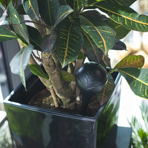 Bola de rega para plantas, preta mate com estaca cerâmica (em embalagem) 400 ml - 11