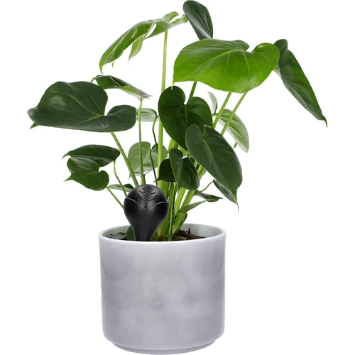 Bola de rega para plantas, preta mate com ponta de cerâmica, 400 ml - 7