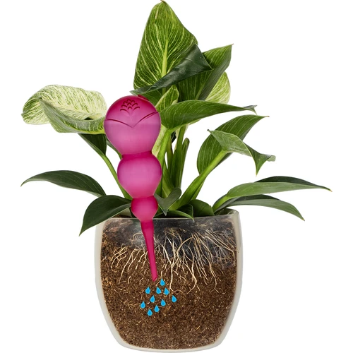 Bola de rega tripla (três câmaras), transparente cor-de-rosa, 600 ml - 3