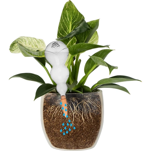 Bola de rega tripla (três câmaras), transparente, incolor, com estaca cerâmica, 600 ml - 3