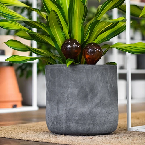 Bolas de rega para plantas, em âmbar transparente, 400 ml, 4 unidades - 12