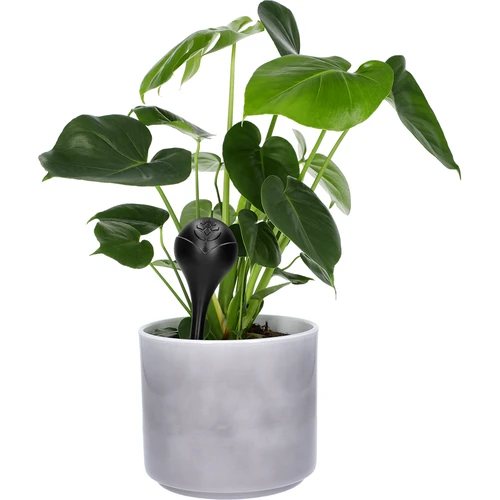 Bolas de rega para plantas, pretas mate, 400 ml, 4 un. - 6
