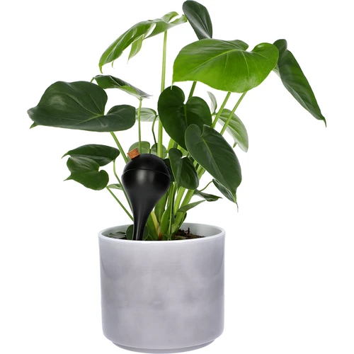 Bolas de rega para plantas, pretas mate, com rolha, 400 ml, 4 un. - 7