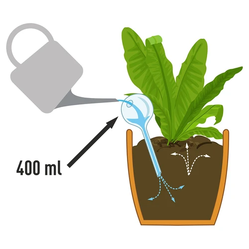Bolas de rega para plantas, pretas mate, com rolha, 400 ml, 4 un. - 5