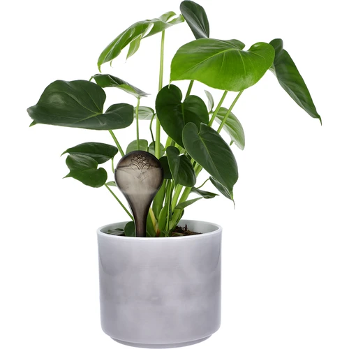 Bolas de rega para plantas, pretas transparentes, 400 ml, 4 unidades - 6
