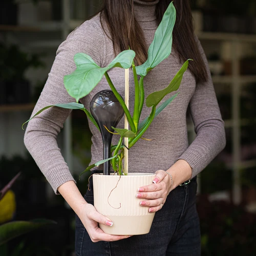 Bolas de rega para plantas, pretas transparentes, 400 ml, 4 unidades - 11