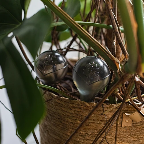 Bolas de rega para plantas, pretas transparentes, 400 ml, 4 unidades - 13