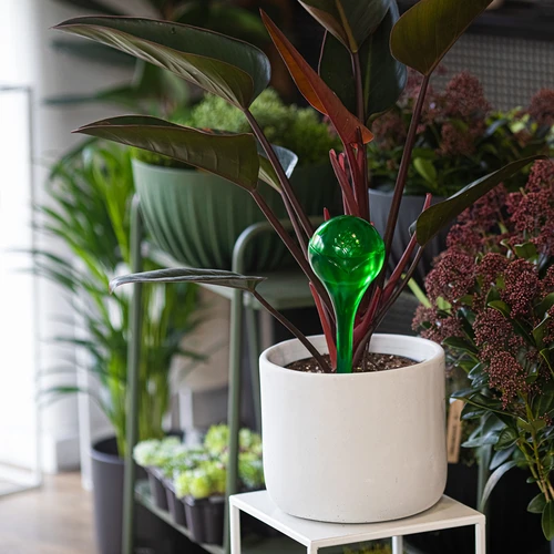 Bolas de rega para plantas, verdes transparentes, 400 ml, 2 unid. - 10