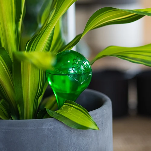 Bolas de rega para plantas, verdes transparentes, 400 ml, 2 unid. - 11