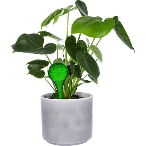 Bolas de rega para plantas, verdes transparentes, 400 ml, 4 un. - 6