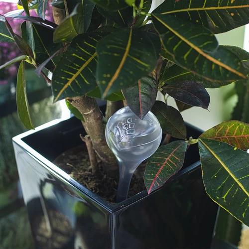 Bolas de rega, transparentes, 400 ml, 4 un. - 9