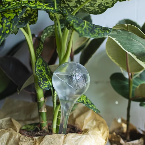 Bolas de rega, transparentes, 400 ml, 4 un. - 10