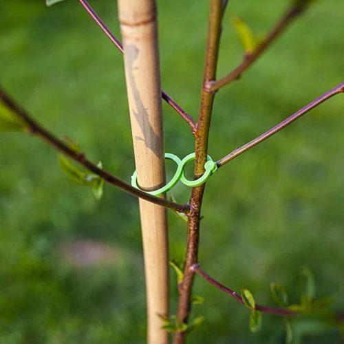 Clips plásticos para prender plantas, sortido 50 unidades - 6