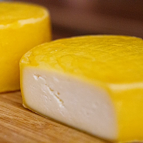 Culturas bacterianas para queijo Gouda - 5