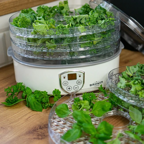 Desidratador para cogumelos, frutas, legumes e ervas com regulação de temperatura, 240 W, transparente - 13