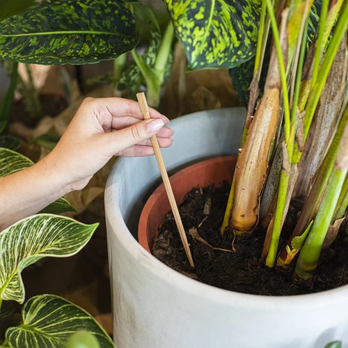 Dispositivo de rega para plantas – placa preta, 200 ml - 7