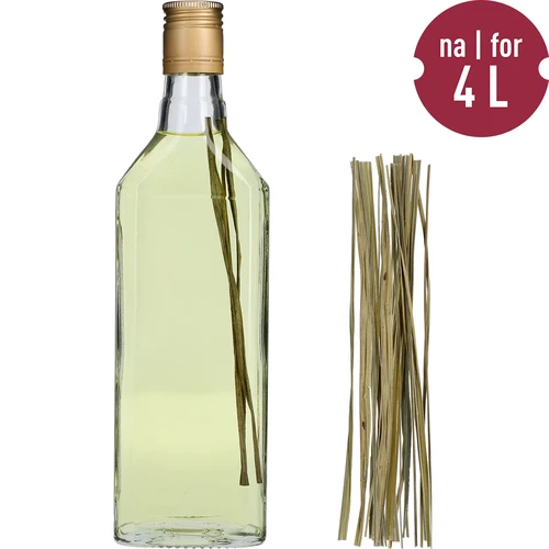 Erva-do-bisonte (Hierochloë odorata) - 12 unidades / 4 L - 3
