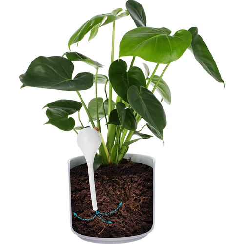 Esferas de rega para plantas, brancas semitransparentes com rolha de cortiça, 400 ml, 4 unid. - 6