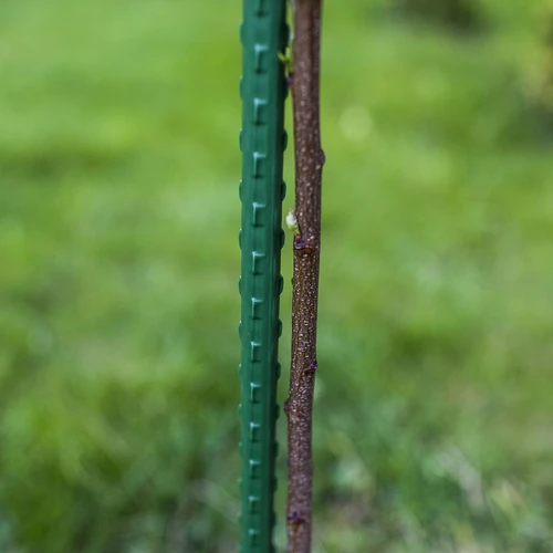 Estaca de aço revestida a PE 0,6 m x 8 mm - 3