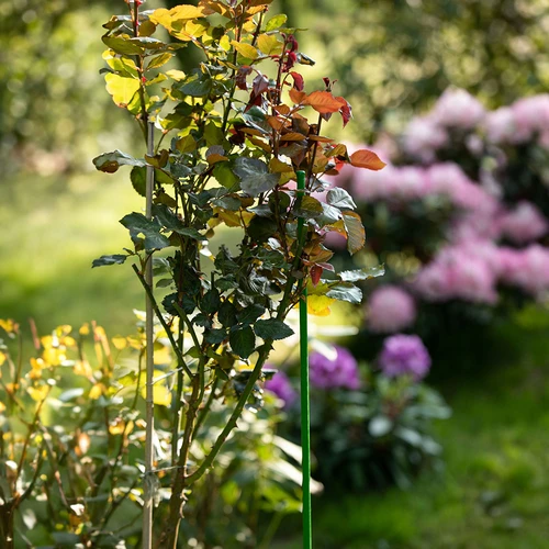 Estaca de aço revestida a PE 0,6 m x 8 mm - 4