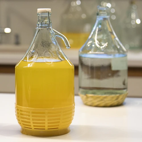 Garrafão Dama 5 L - cesto em plástico, fecho de arame - 4