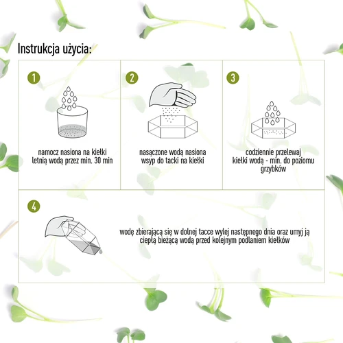 Germinador de vários níveis Niezłe Ziółko com sementes de rabanete - 10