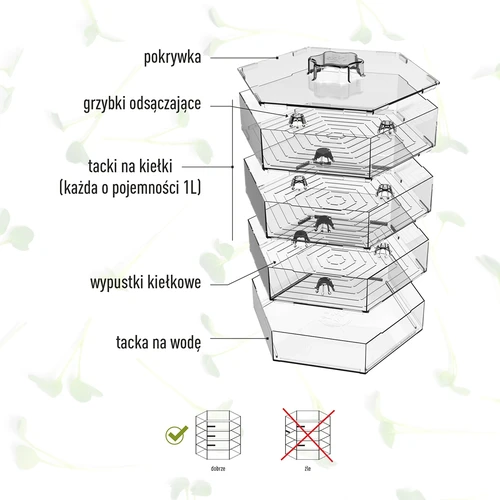 Germinador de vários níveis Niezłe Ziółko com sementes de rabanete - 11