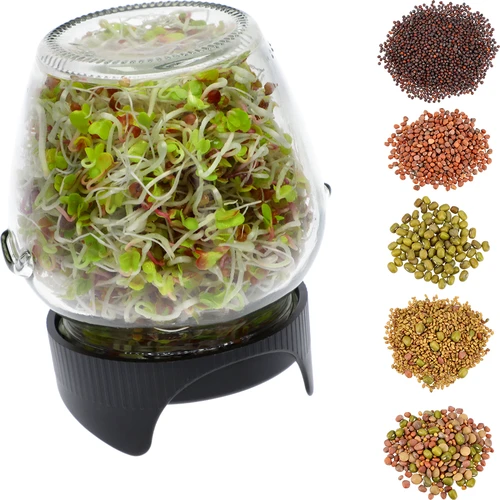 Germinador em frasco com tampa twist-off + 5 embalagens de sementes - 2