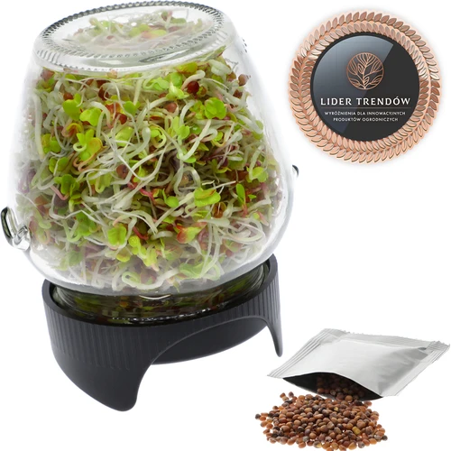 Germinador em frasco Twist-off com sementes de rabanete