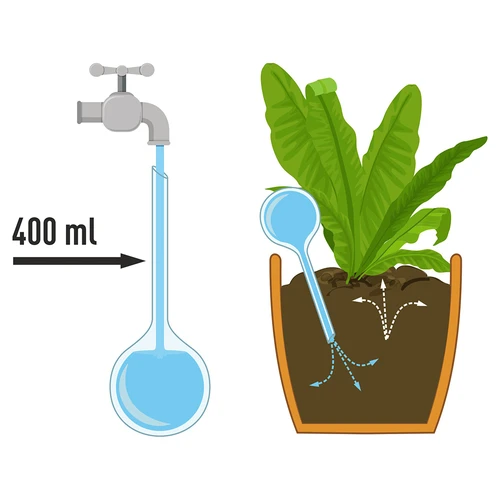 Globos de rega para plantas, pretos translúcidos, 400 ml, 2 unid. - 4