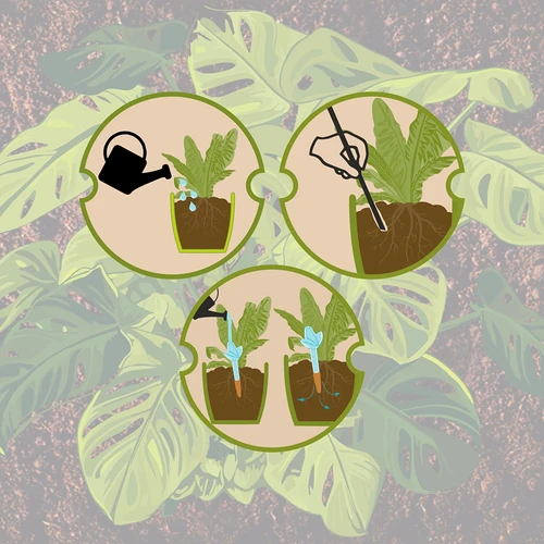 Irrigador para plantas – folha transparente com cone de cerâmica, 120 ml - 12