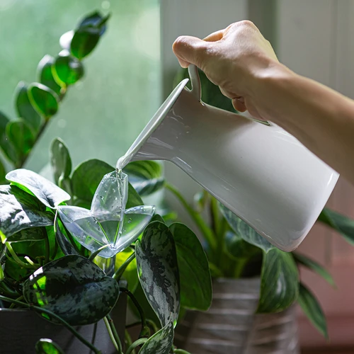 Irrigador para plantas – folha transparente com cone de cerâmica, 120 ml - 8