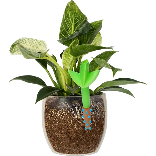 Irrigador para plantas – folha verde com ponta cerâmica, 120 ml - 6