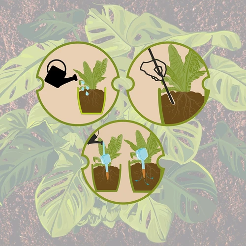 Irrigador para plantas – placa de ardósia preta com estaca de cerâmica, 200 ml - 10