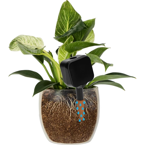 Irrigador para plantas – placa de ardósia preta com estaca de cerâmica, 200 ml - 6