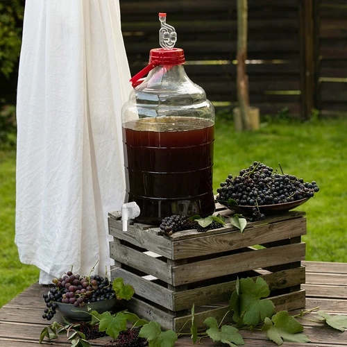 Kit de Vinificação Easy – uma forma fácil de fazer vinho caseiro - 15