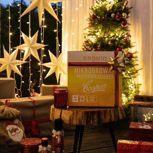 Microcervejaria ECO 2 - 16