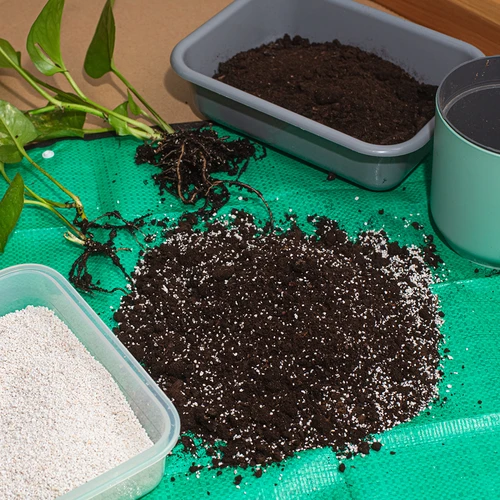 Perlita para plantas em vaso e jardinagem, 2 L - 7